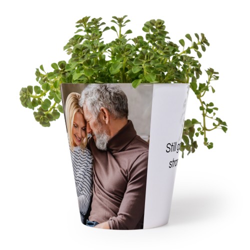 Flower Pot Flower Pot
