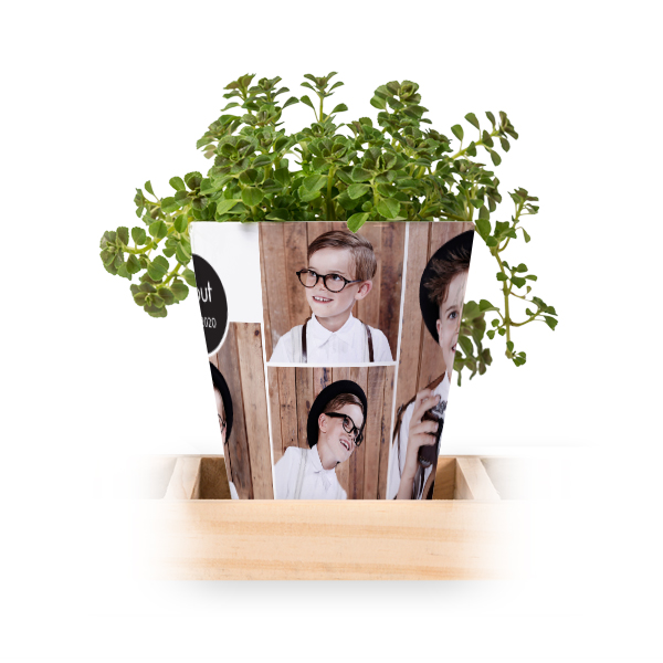 Bloempot (Set van 3)
