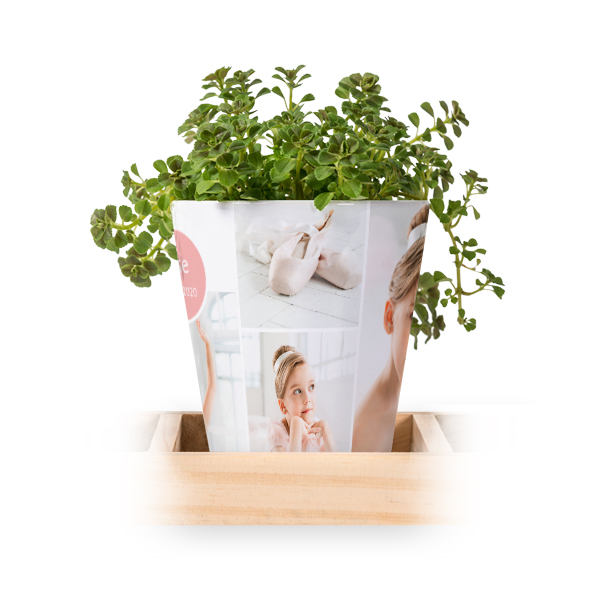 Blumentopf (3er Set)