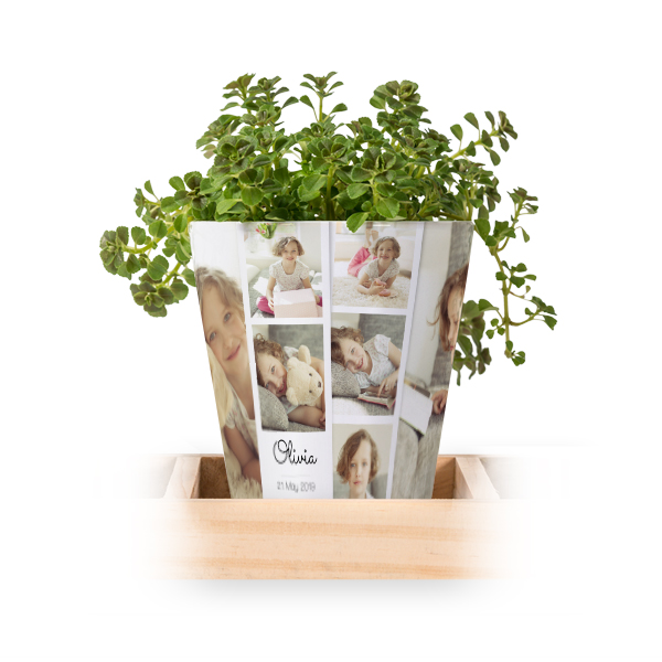 Flowerpot (Set of 3)