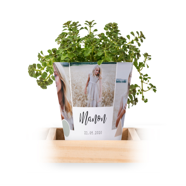 Flowerpot (Set of 3)