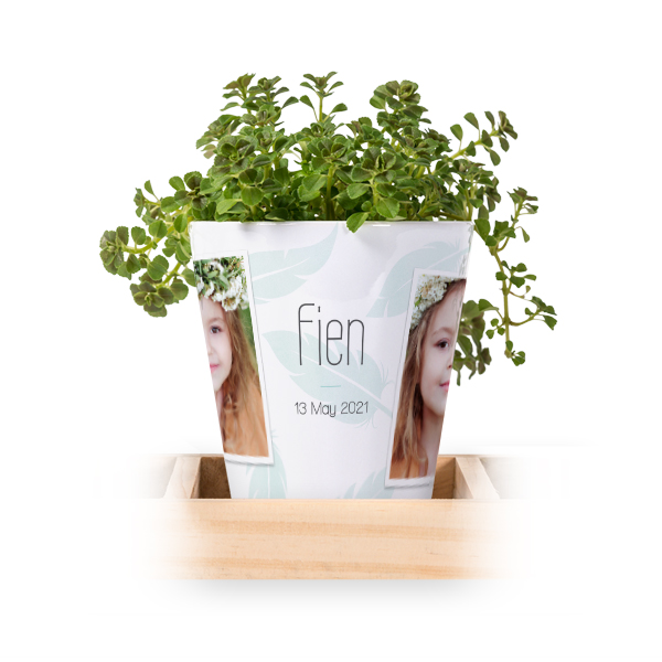 Bloempot (Set van 3)