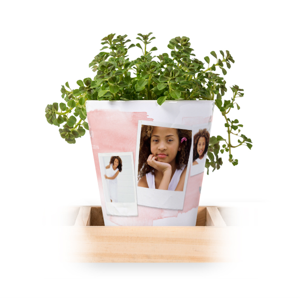 Bloempot (Set van 3)