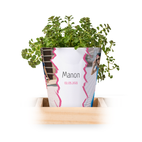 Flowerpot (Set of 3)