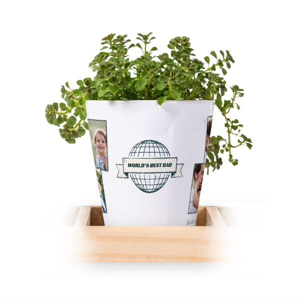 Bloempot (Set van 3)