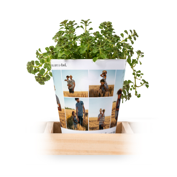 Blumentopf (3er Set)