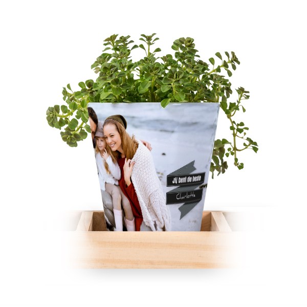 Bloempot (Set van 3)