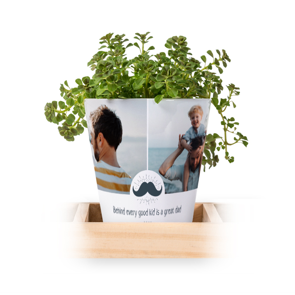 Flowerpot (Set of 3)