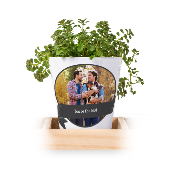 Blomsterkrukke (Sett med 3)