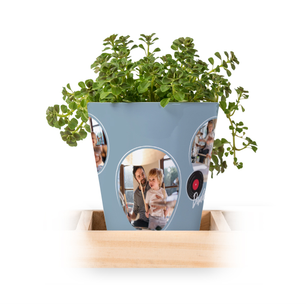Bloempot (Set van 3)