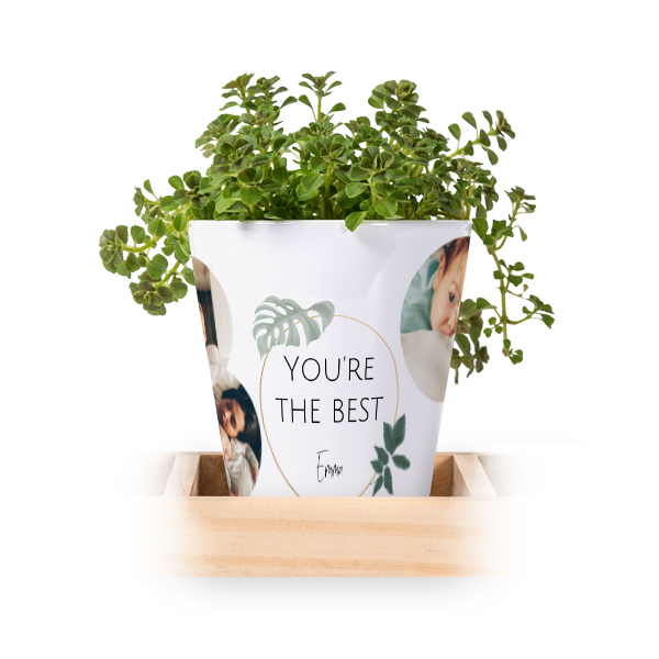 Flowerpot (Set of 3) Flowerpot (Set of 3)