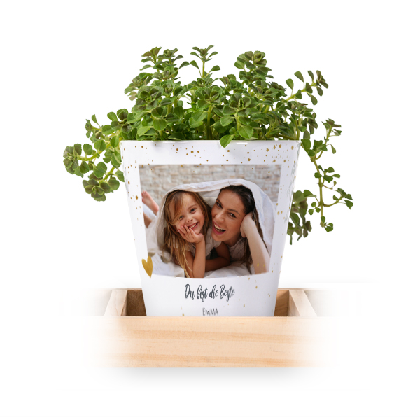 Blumentopf (3er Set) Blumentopf (3er Set)
