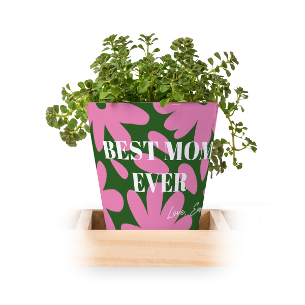 Flowerpot (Set of 3)