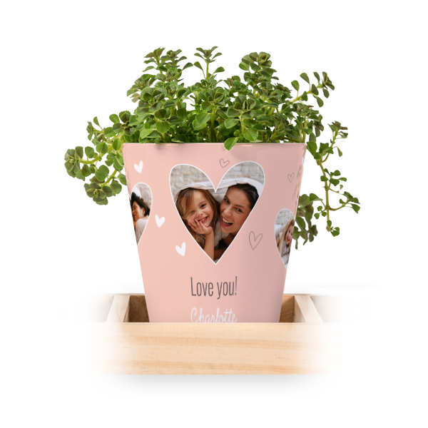 Flowerpot (Set of 3) Flowerpot (Set of 3)