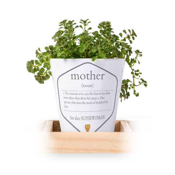 Flowerpot (Set of 3) Flowerpot (Set of 3)