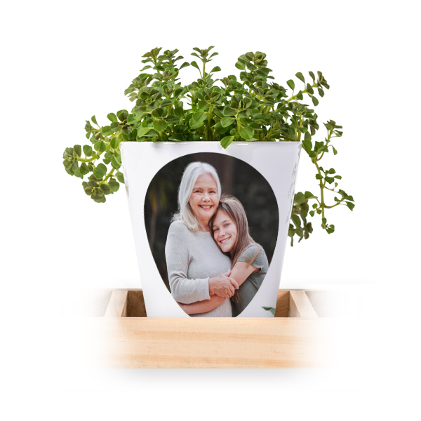 Lot de 3 pots avec plateau Lot de 3 pots avec plateau