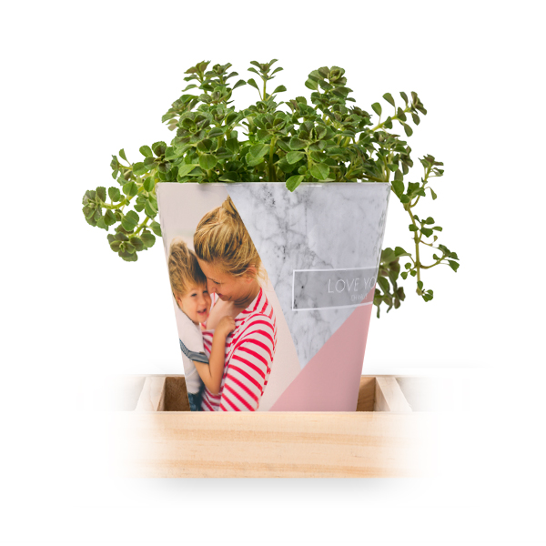Lot de 3 pots avec plateau Lot de 3 pots avec plateau
