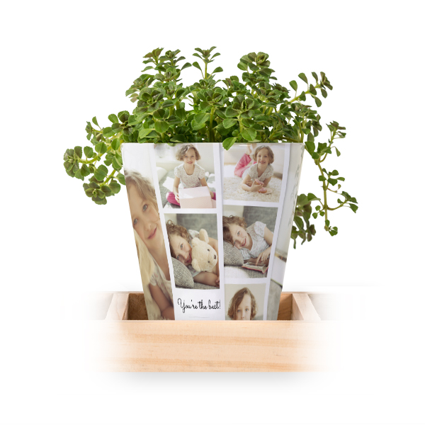 Bloempot (Set van 3)
