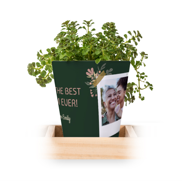 Flowerpot (Set of 3) Flowerpot (Set of 3)