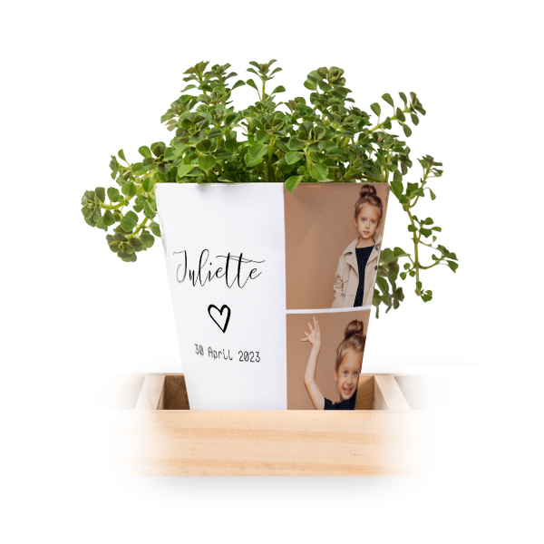 Blumentopf (3er Set) Blumentopf (3er Set)