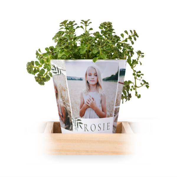 Flowerpot (Set of 3) Flowerpot (Set of 3)