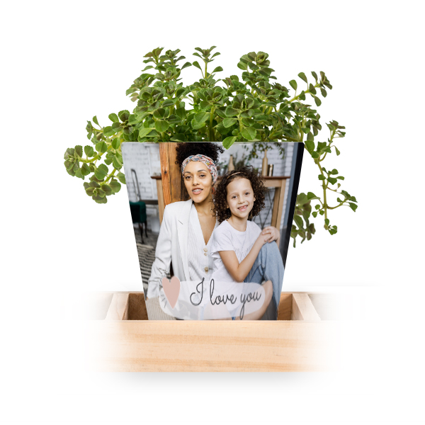 Flowerpot (Set of 3)
