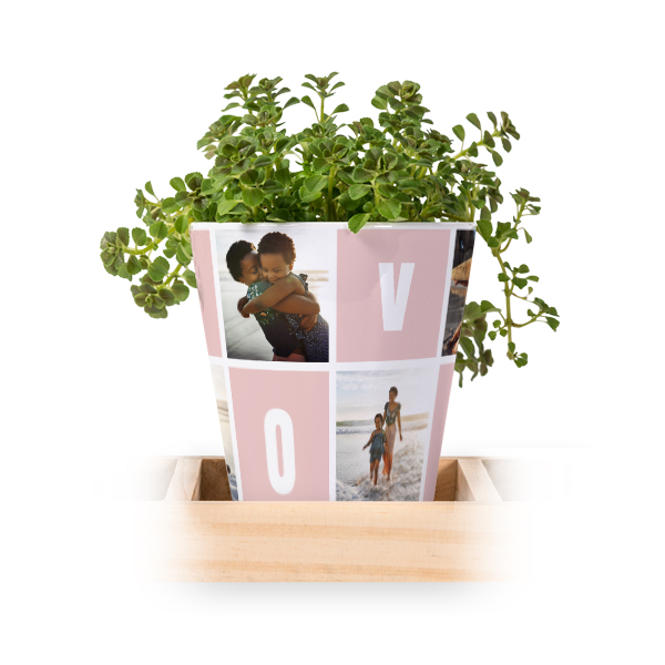 Flowerpot (Set of 3)