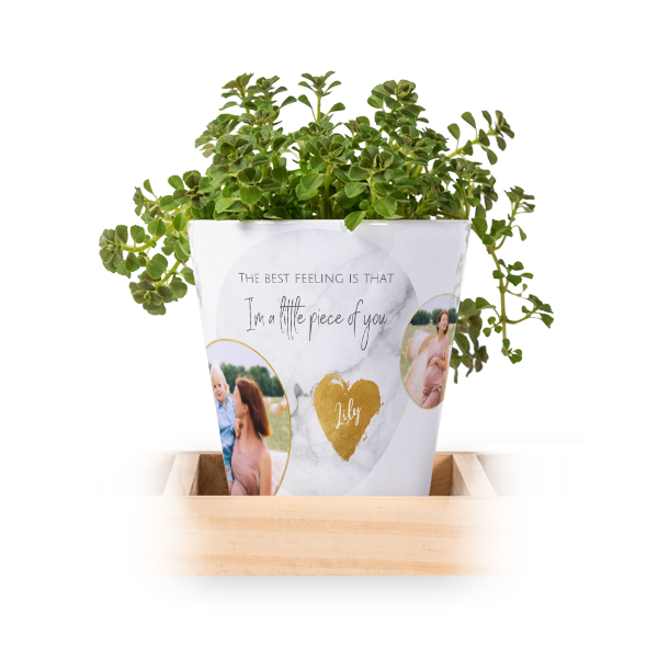 Flowerpot (Set of 3)