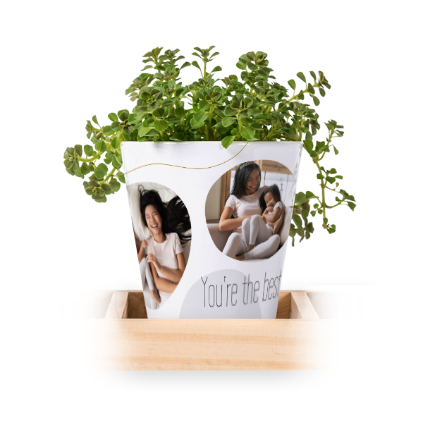 Flowerpot (Set of 3)