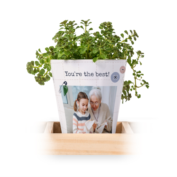 Flowerpot (Set of 3)