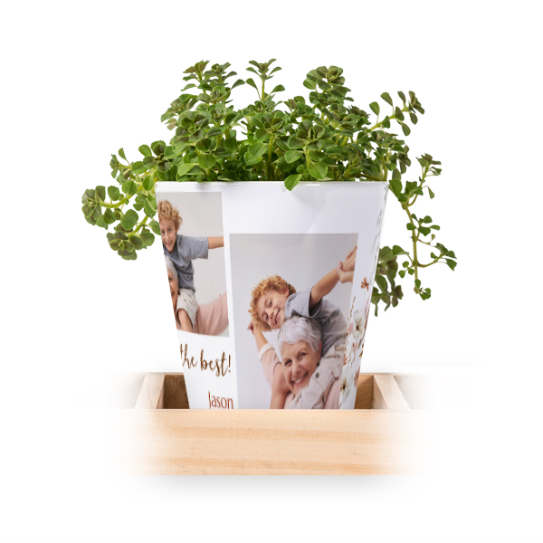 Flowerpot (Set of 3)