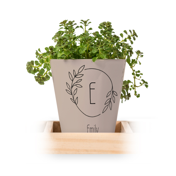 Blumentopf (3er Set) Blumentopf (3er Set)