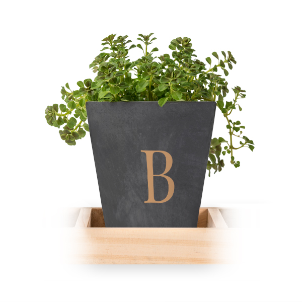 Flowerpot (Set of 3)