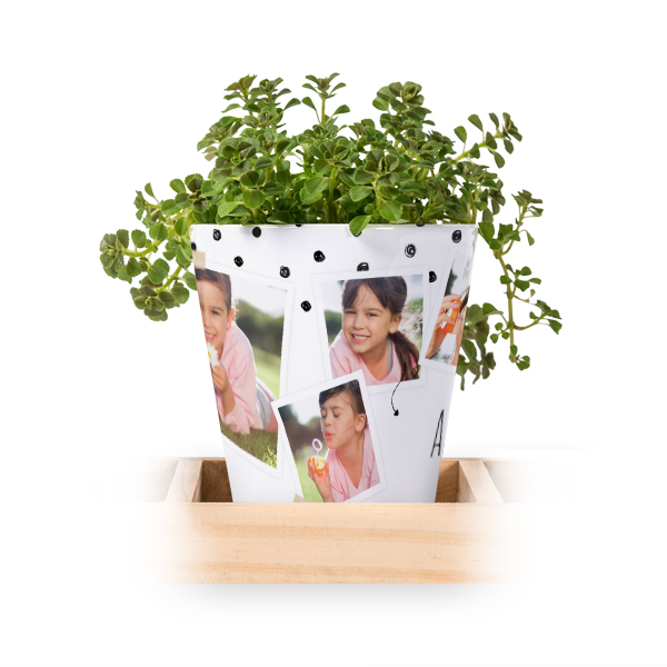 Flowerpot (Set of 3)