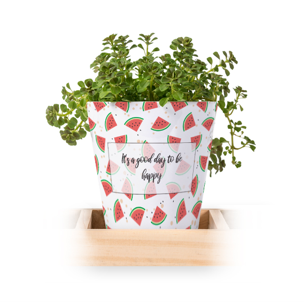 Flowerpot (Set of 3)