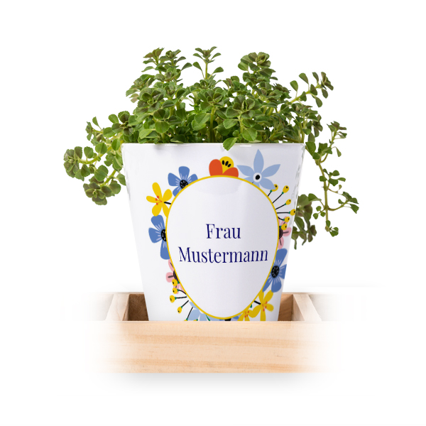 Blumentopf (3er Set)