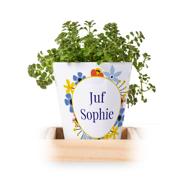 Bloempot (Set van 3)
