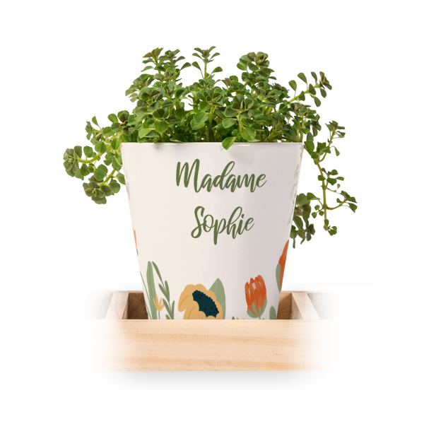 Lot de 3 pots avec plateau Lot de 3 pots avec plateau