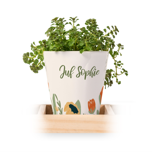 Bloempot (Set van 3)