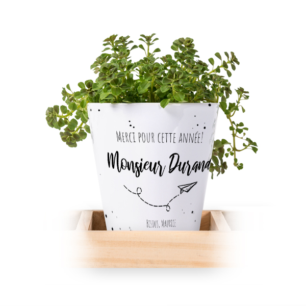 Lot de 3 pots avec plateau
