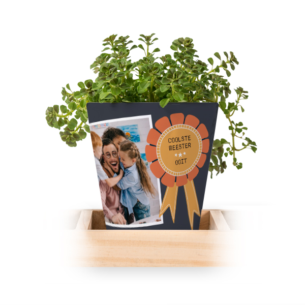 Bloempot (Set van 3)