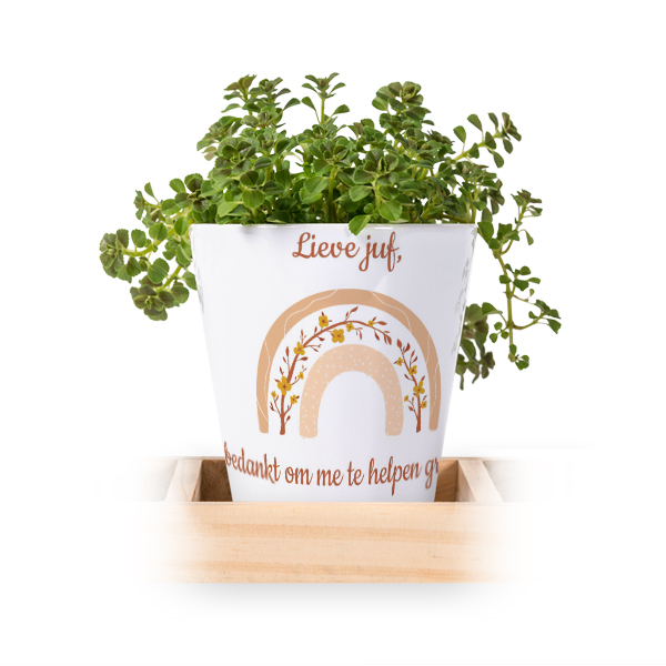 Bloempot (Set van 3)