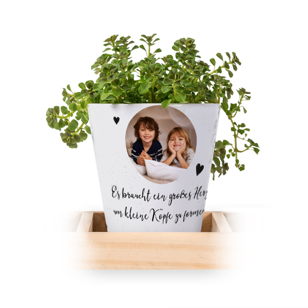 Blumentopf (3er Set)