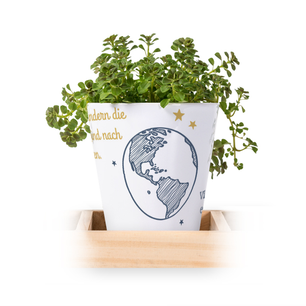 Blumentopf (3er Set)
