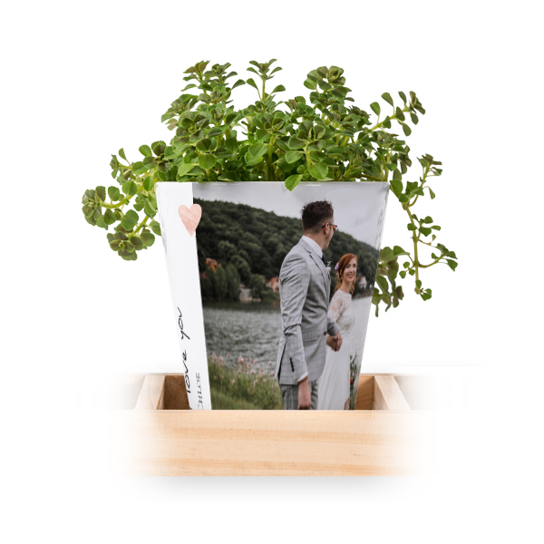 Blumentopf (3er Set)