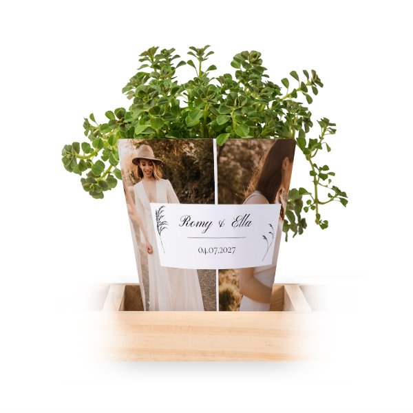 Blumentopf (3er Set)