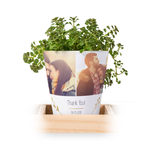 Bloempot (Set van 3)