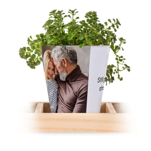 Flowerpot (Set of 3) Flowerpot (Set of 3)