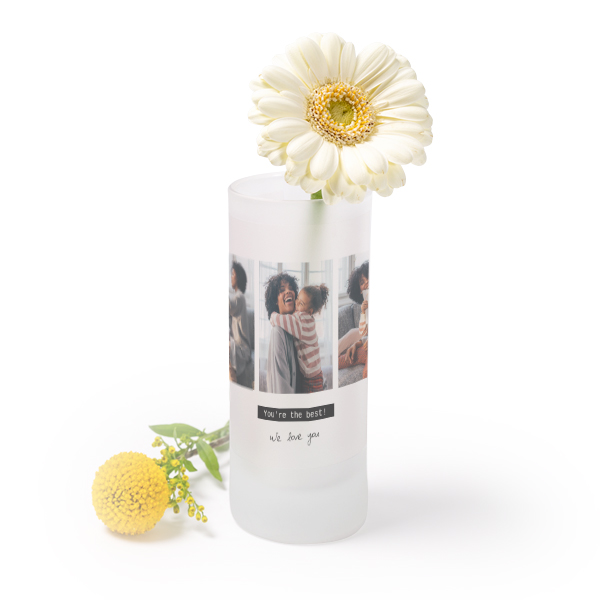 Frosted Glass Vase Frosted Glass Vase