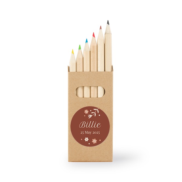 Doosjes met kleurpotloden - Set van 24